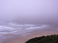 In The Mist